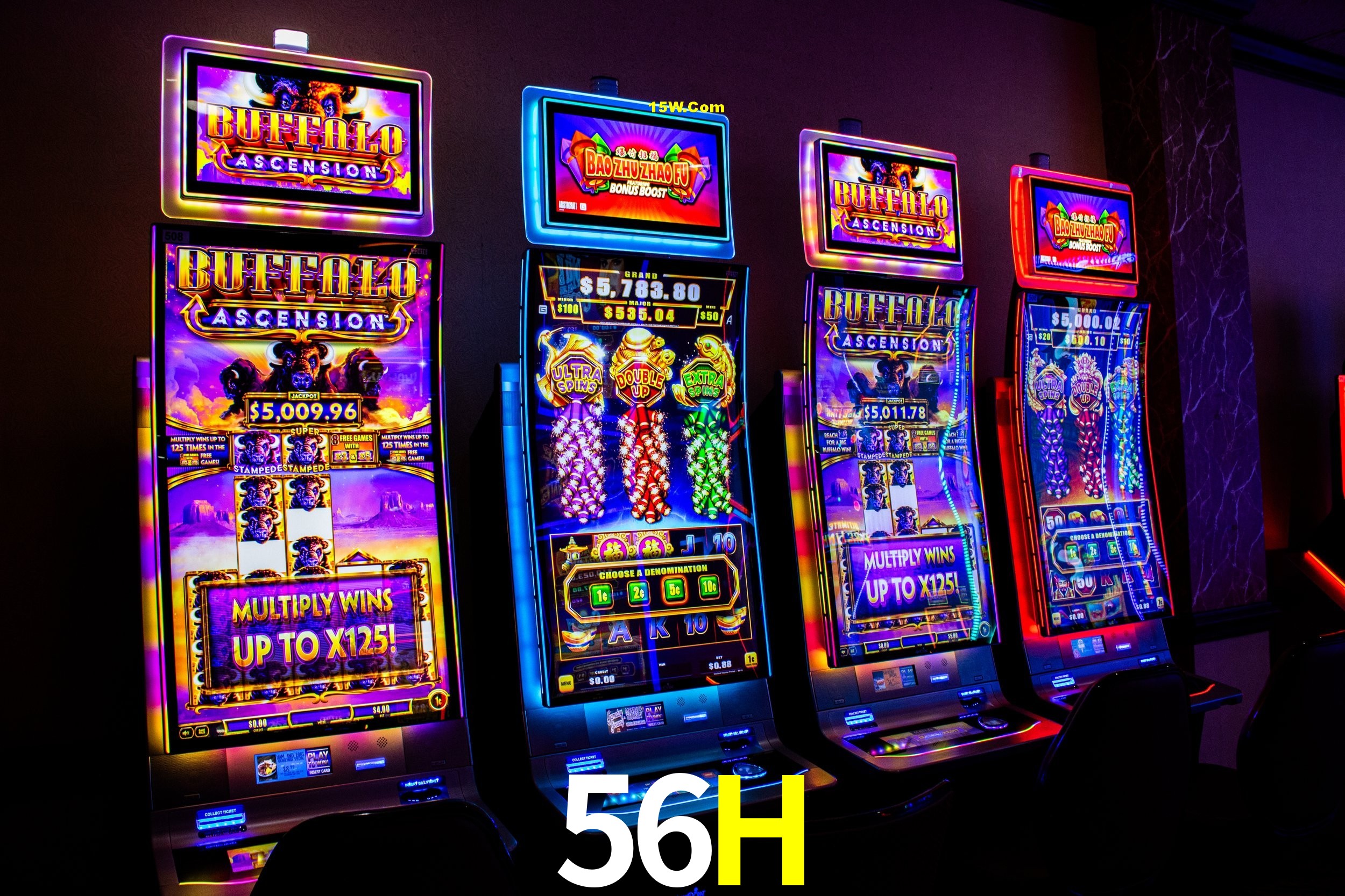Player Reviews 56H